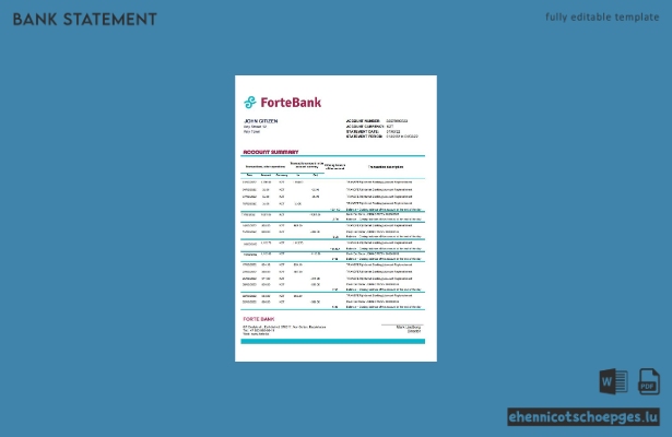 Beispiel für einen Kontoauszug der Kazakhstan Forte (Excel-Vorschau)